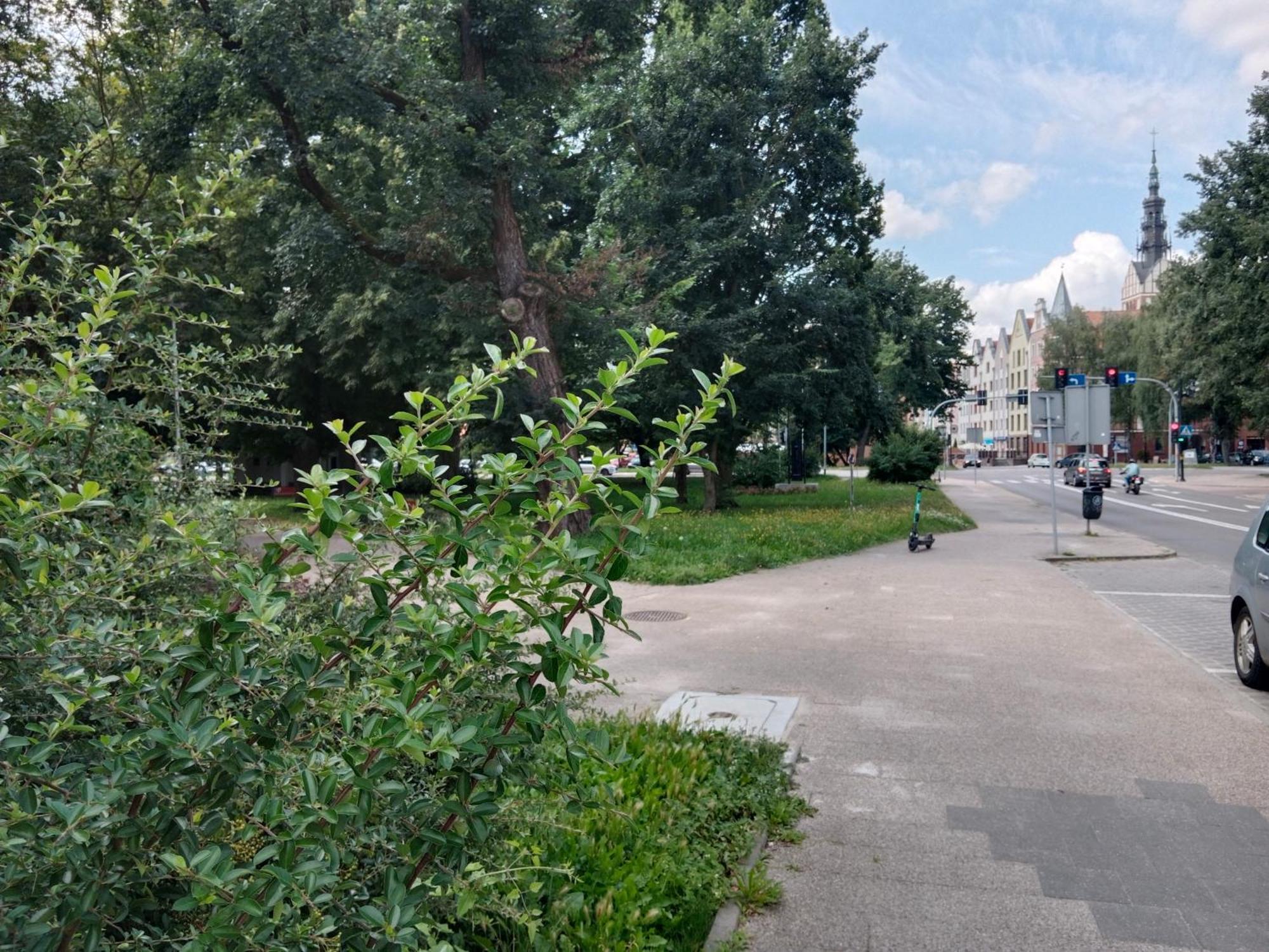Apartament - Elblag Bagian luar foto